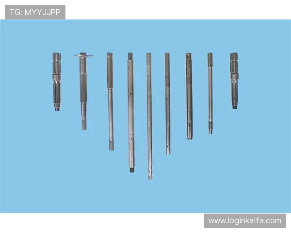 凯发K8.com游戏种类丰富多样满足不同玩家的多样化需求